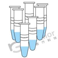 Mouse Cot-1 DNA