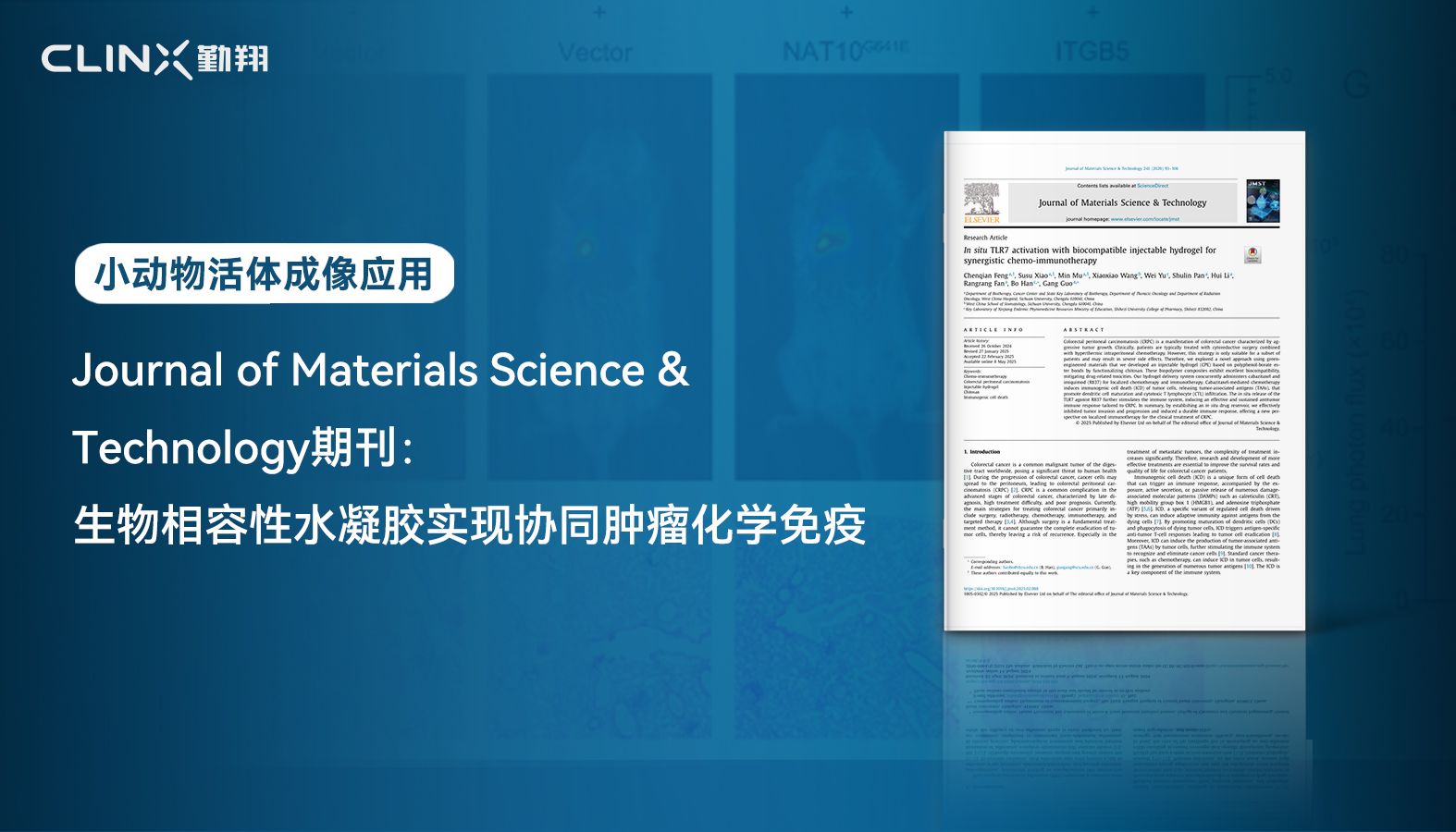 IVScope 小动物活体成像|JMST期刊：生物免疫治疗法用于协同肿瘤化学免疫治疗