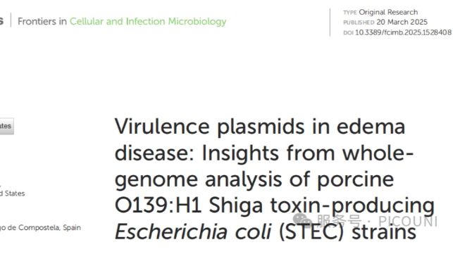 猪水肿病真相曝光：产Stx2e大肠杆菌的基因密码与田间实况一文解读！