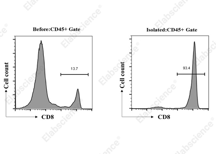 高纯度分选利器！Elabscience EasySort™小鼠 CD8+T 细胞阴性分选试剂盒，解锁免疫研究新高度
