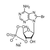 8-溴腺苷-3′,5′-环单磷酸 钠盐