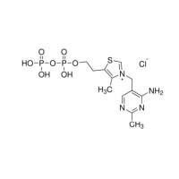 硫胺素焦磷酸