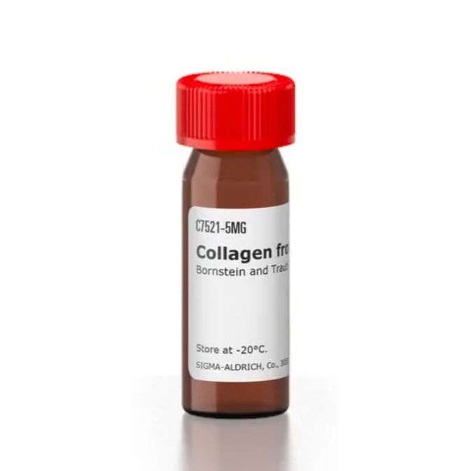 胶原蛋白 来源于人类胎盘