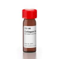 胶原蛋白 来源于人类胎盘