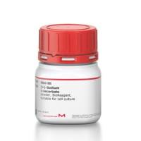 (+)-抗坏血酸钠 L