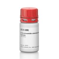 还原型 β-烟酰胺腺嘌呤二核苷酸 二钠盐 水合物