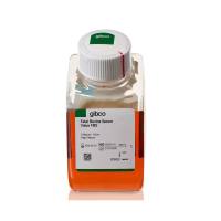 GIBCO A5256701 优级胎牛血清,巴西血源