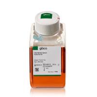 Gibco A5669701 澳洲胎牛血清