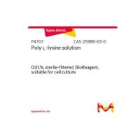 多聚-L-赖氨酸 溶液
