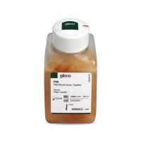 Gibco 10099141C 澳洲胎牛血清