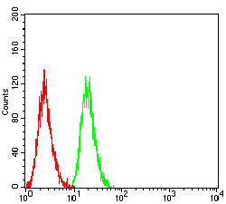 KCNK1 Mouse mAb[63810]