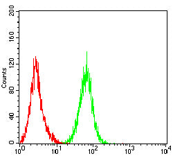 KCNK1 Mouse mAb[63810]