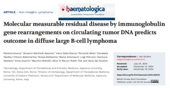 基于IG/TCR的淋巴瘤 NGS-MRD 检测全解析：精准追踪微小残留病灶，为诊疗保驾护航