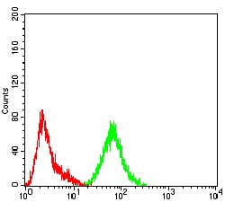 SATB2 Mouse mAb[64210]
