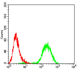 RHOA Mouse mAb[64181]