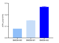 BMDM巨噬细胞诱导M1和M2型极化后检测细胞内ATP含量
