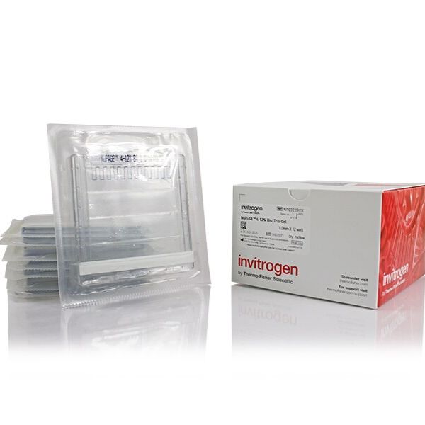 NuPAGE™ 4-12%,Bis-Tris,1.0–1.5 mm,小型蛋白凝胶 NP0321BOX
