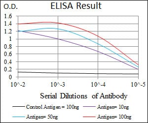 DCX Mouse mAb[63535]