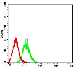 ALDOA Mouse mAb[63049]