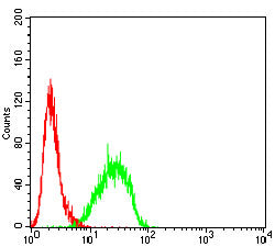 MAGEA4 Mouse mAb[63895]