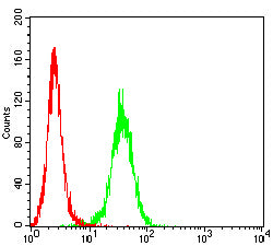 M6PR Mouse mAb[63892]