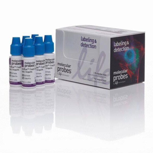 NucBlue™ Fixed Cell ReadyProbes™ 试剂 (DAPI)