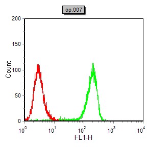 DCX Mouse mAb[63535]