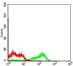 JAM3 Mouse mAb[63803]