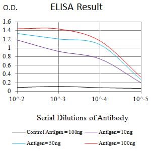 KMT5A Mouse mAb[63841]