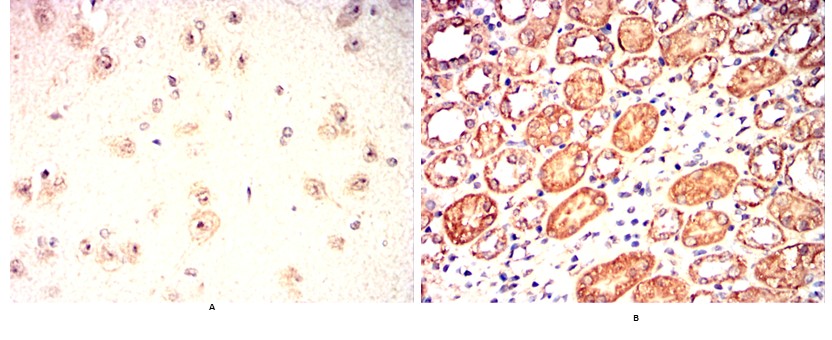 产品细节图片13
