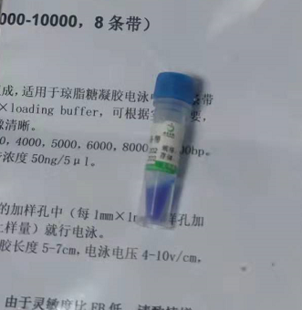 pCMV-SPORT6-KCNN4质粒使用説明