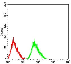CHRNA5 Mouse mAb[63472]