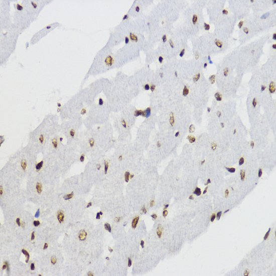 产品细节图片10