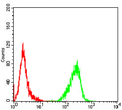 PPID Mouse mAb[64112]