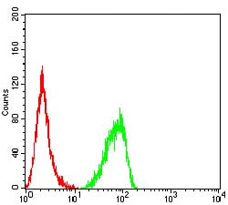 RBBP7 Mouse mAb[64174]