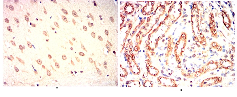 产品细节图片12
