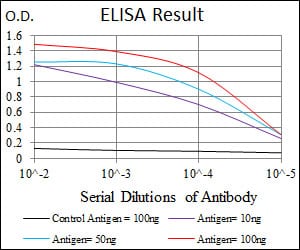 MELK Mouse mAb[63926]