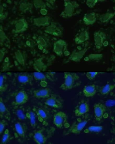 产品细节图片18