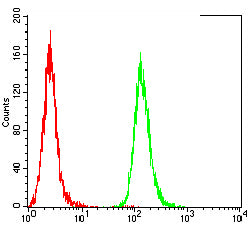 TDP43 Mouse mAb[64305]