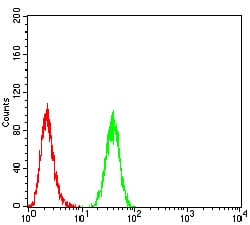 PDPK1 Mouse mAb[64070]