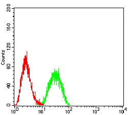 CD42A Mouse mAb[63392]