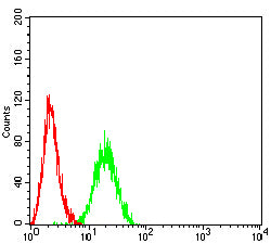 BRAF Mouse mAb[63163]