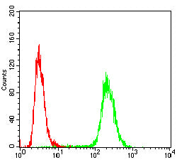 RHOA Mouse mAb[64181]