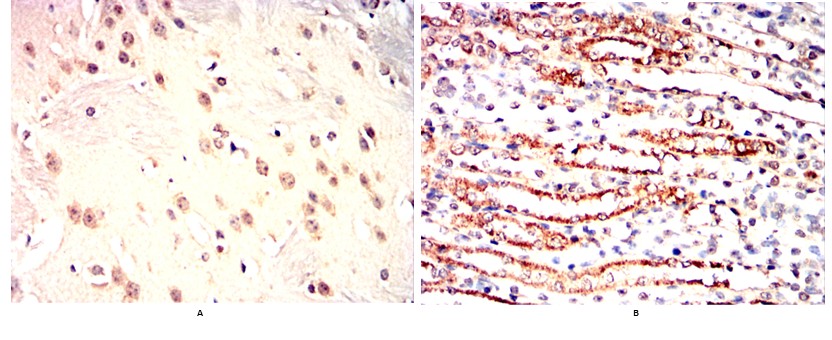 产品细节图片11