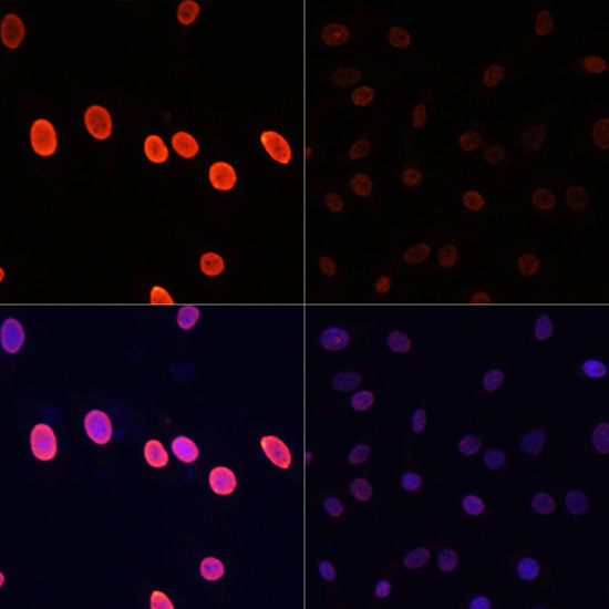 产品细节图片13
