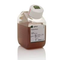 猪血清/Porcine Serum 26250084