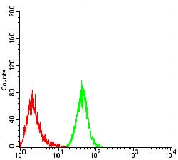 MOB1A Mouse mAb[63939]