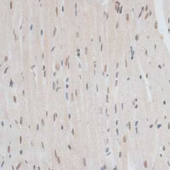 产品细节图片14