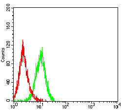 MUC12 Mouse mAb[63964]