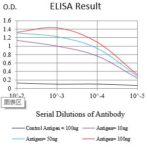 JAM3 Mouse mAb[63803]